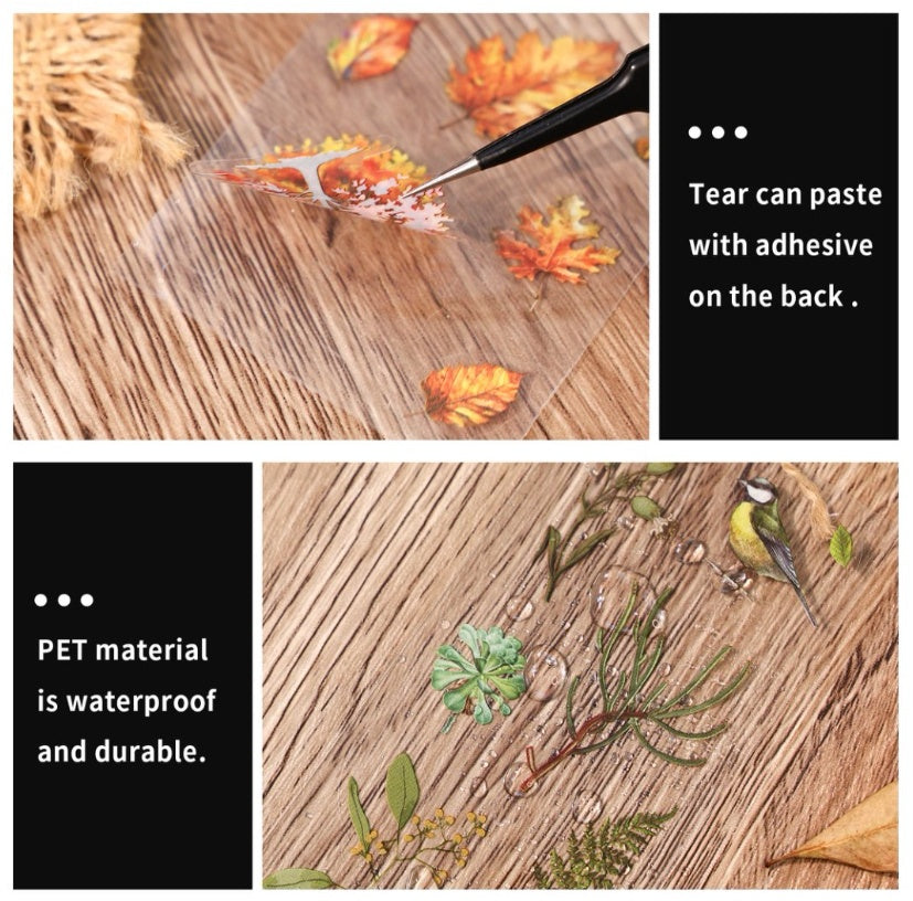 All Things Grow Series - With Adhesive Backing-Only Supports Self-pickup. Shopifynow