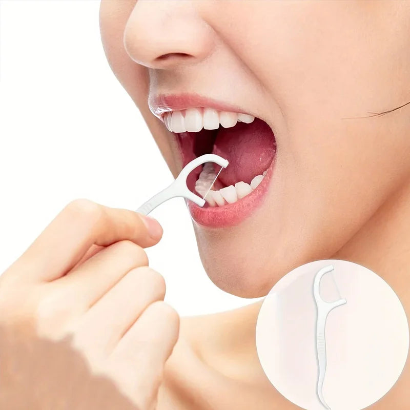 Custom Dental Floss Picks - Extra Fine, Disposable, Portable Case, Mint Flavored, for Family, Travel, On-the-Go (Assort Shopifynow