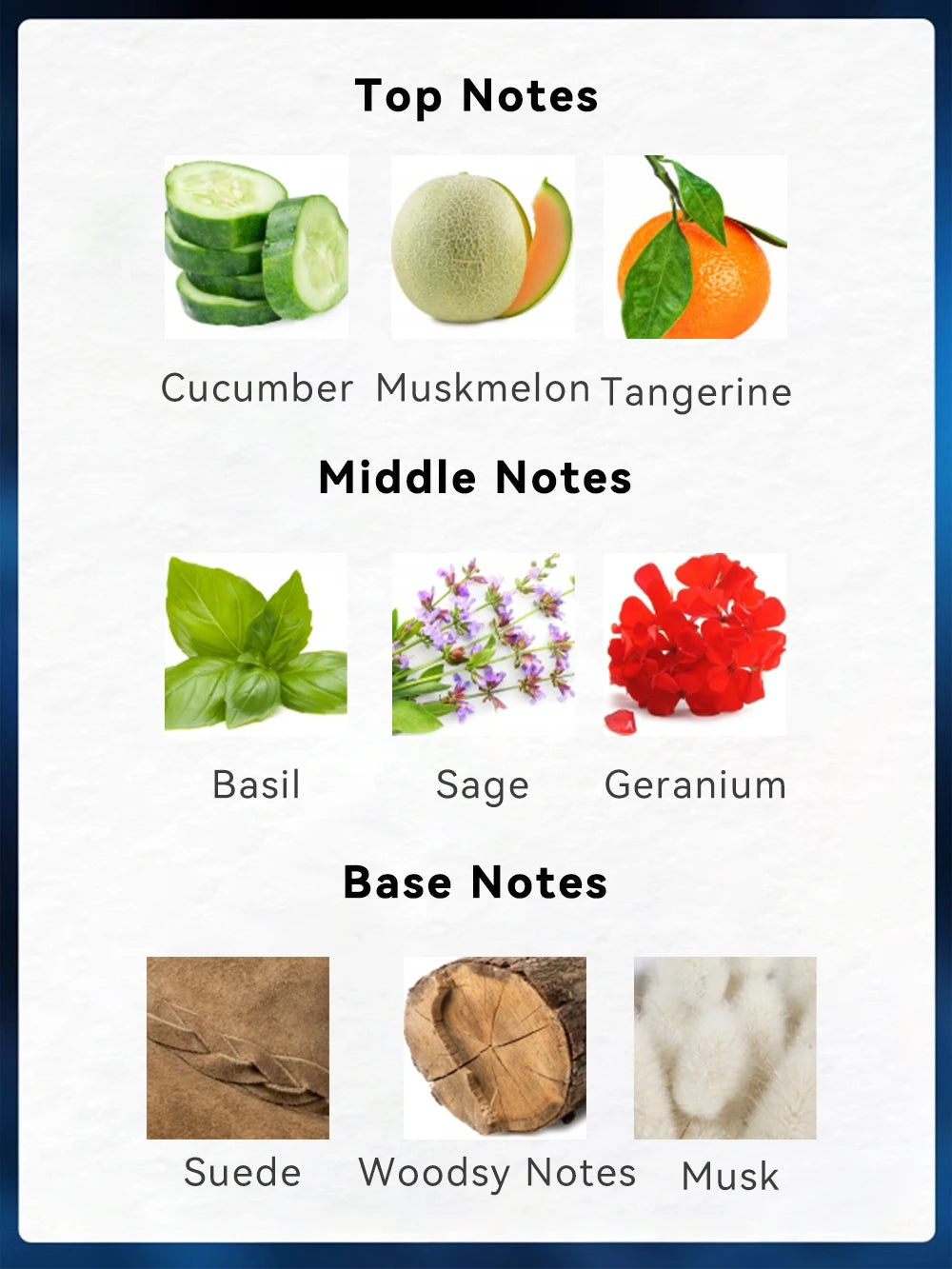 BLUE CHARM Eau de Parfum Spray 3.4 Ounce / 100 Ml  Multi-Layered Fragrance Aromatic Fragrance for Men Men's EDP Perfumes Fruit Shopifynow