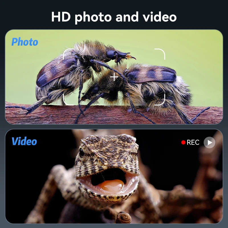 5MP 7'' Digital Microscope 1200x Magnification HD Coin Microscope with 8 LEDs Soldering Microscope for Electronics PCB Repair Shopifynow