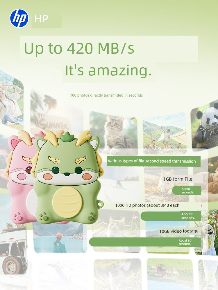 HP 1TB Large Capacity Computer Dual Purpose Movable Hard Disk Shopifynow