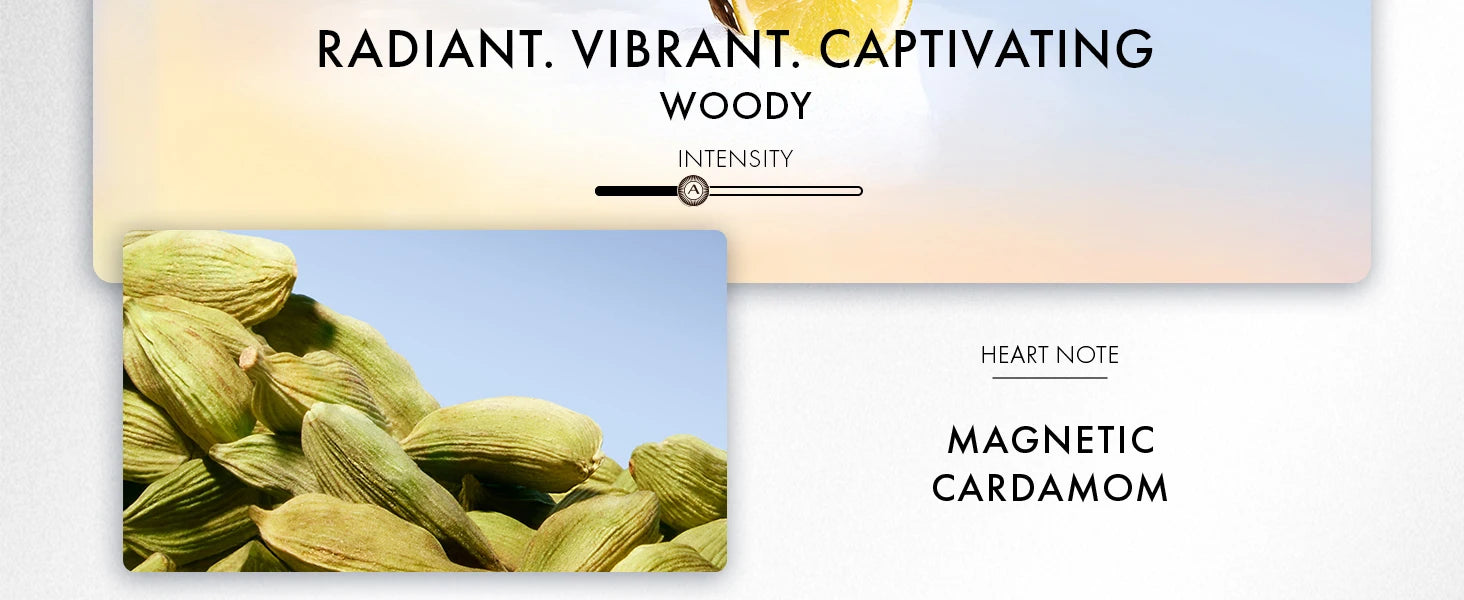 Azzaro Wanted Eau De Toilette - Vibrant & Irresistible Mens Cologne - Woody, Vetiver - Everyday Wear - Luxury Perfumes for Men Shopifynow