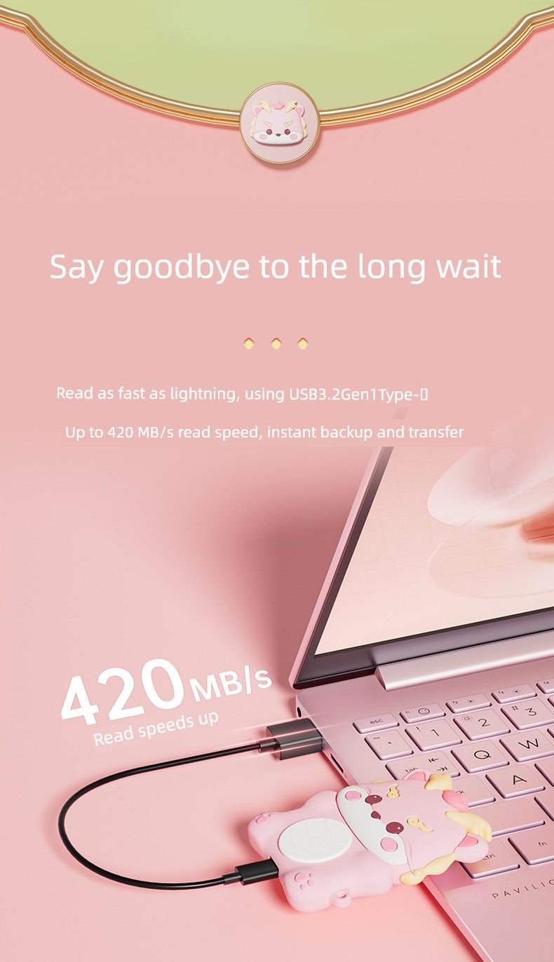 HP 1TB Large Capacity Computer Dual Purpose Movable Hard Disk Shopifynow