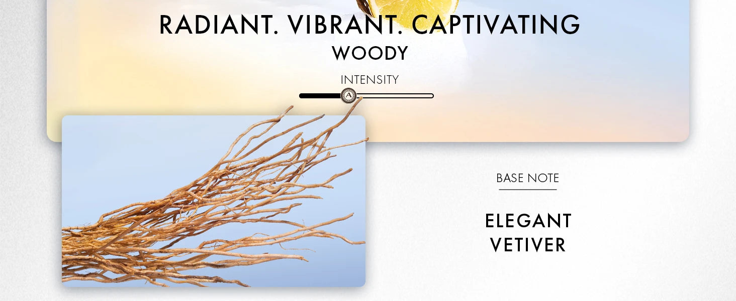 Azzaro Wanted Eau De Toilette - Vibrant & Irresistible Mens Cologne - Woody, Vetiver - Everyday Wear - Luxury Perfumes for Men Shopifynow