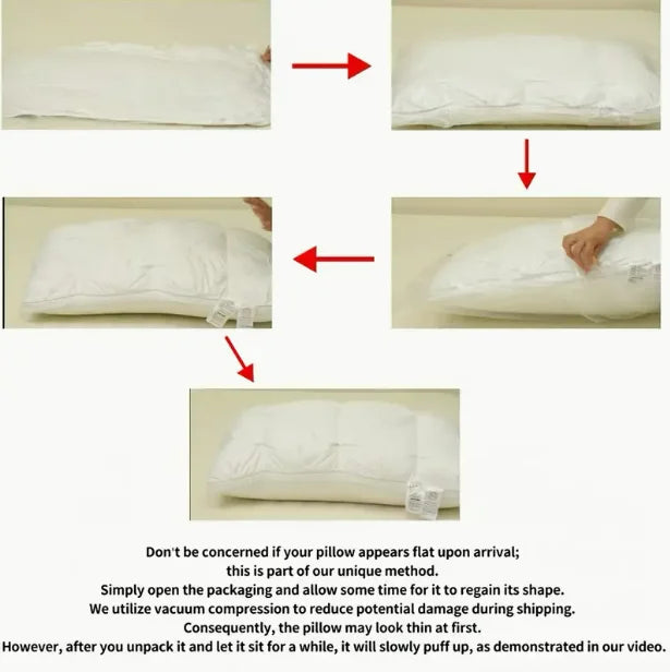Luxurious 5-Star Hotel Quality Pillow 990g 20x30 Inches Deep Sleep Neck Support Non-Collapse High Pillow Core For All Seasons - Shopifynow
